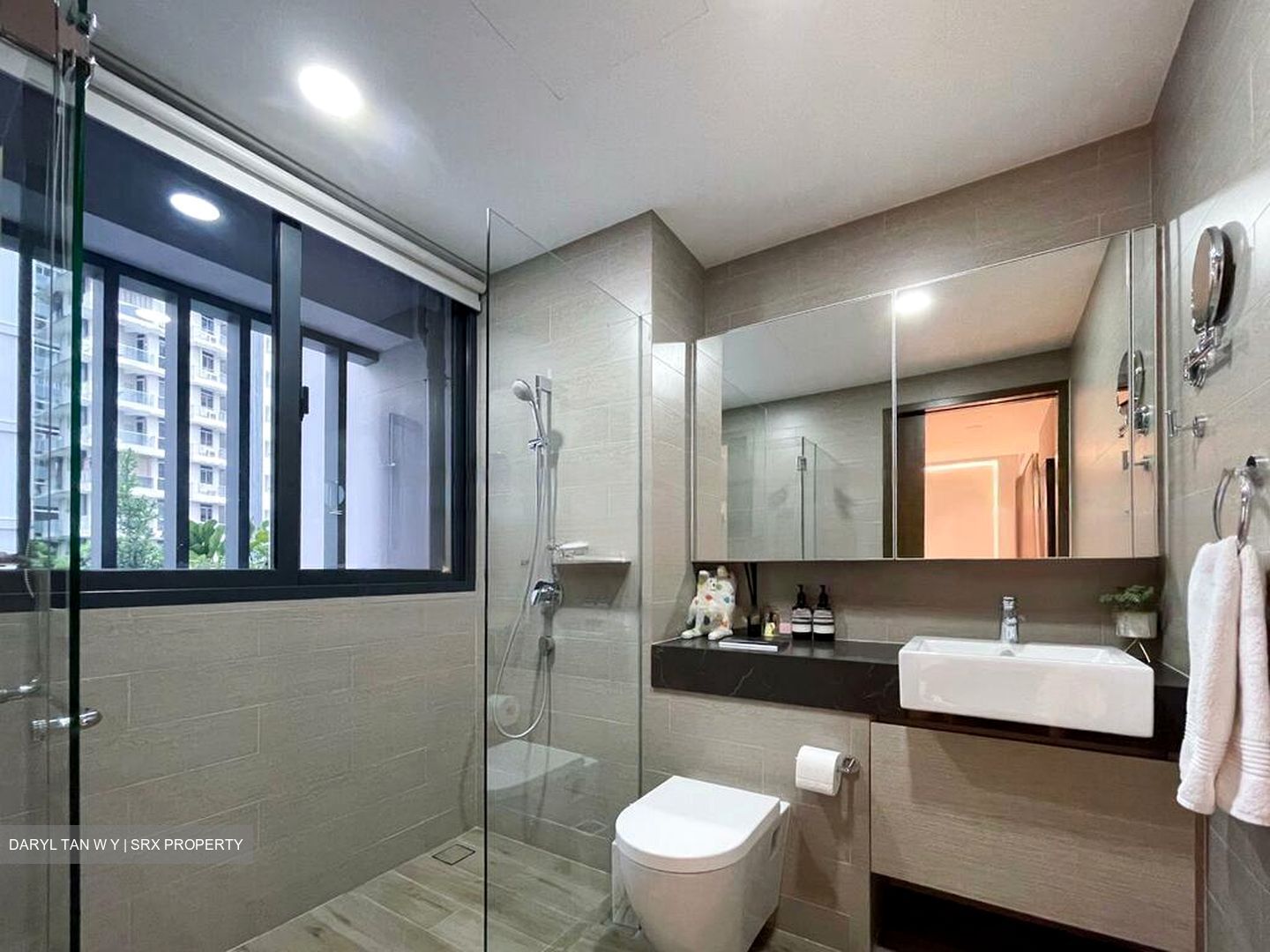 Amber Skye (D15), Apartment #450818631